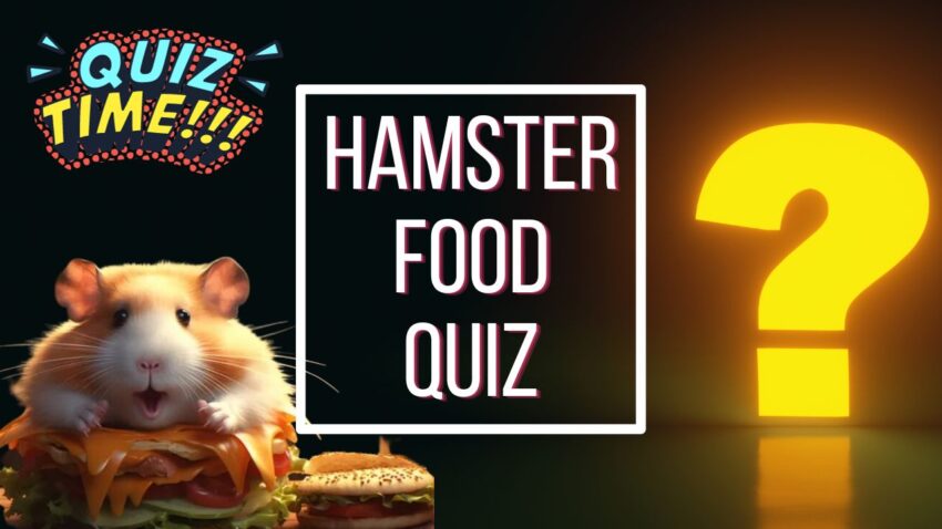 Hamster Food Quiz - Featured