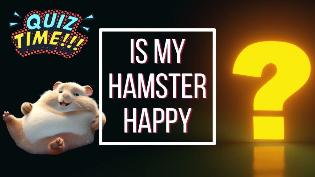Is my Hamster Happy Quiz - Featured
