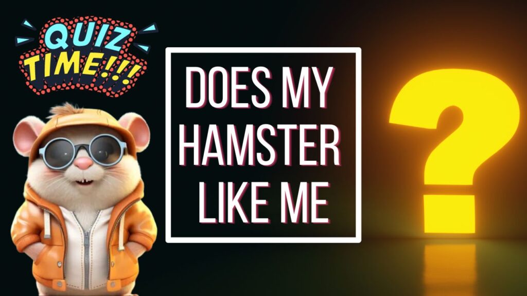 Does my Hamster Like me Quiz - Featured