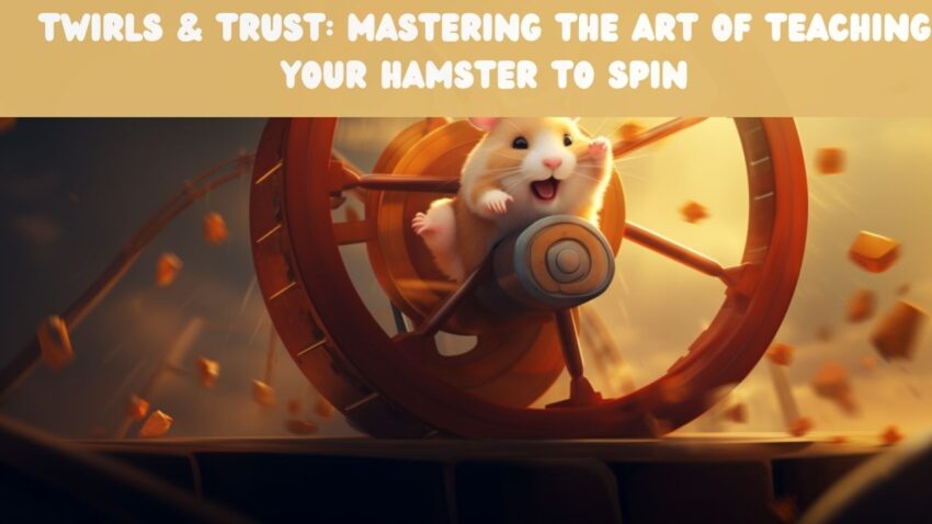 Twirls & Trust Mastering the Art of Teaching Your Hamster to Spin