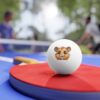 "Hamster Funhouse" Ping Pong Balls, 6 pcs - Image 3