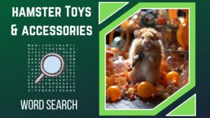 Hamster Toys & Accessories - Word Search