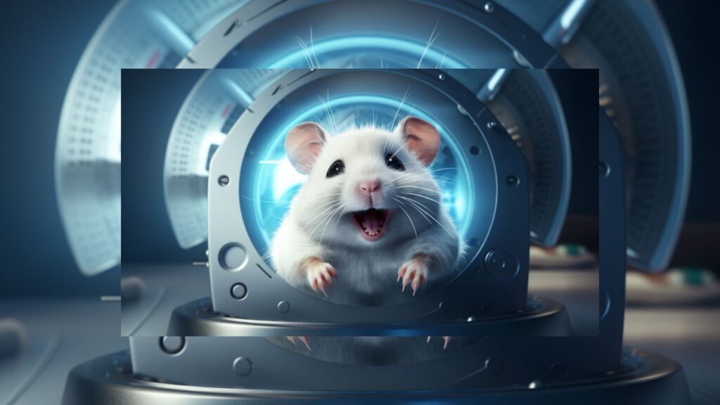 The Brilliant World Inside a Hamster’s Head Understanding Their Brains