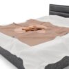 "Hamster Duo" Velveteen Plush Blanket - Image 14