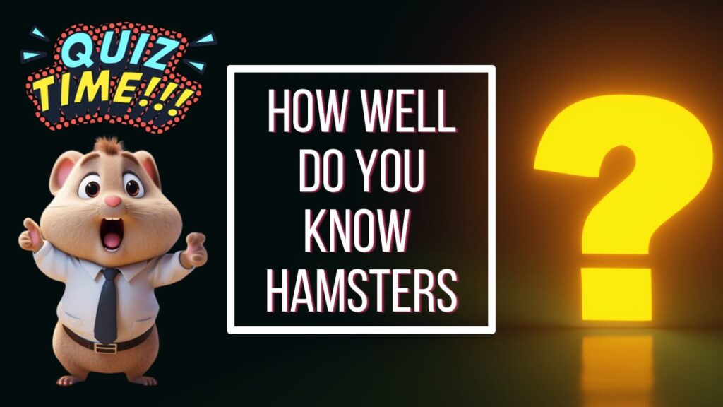 How Well Do You Know Hamsters A Furr-tastic Quiz for Beginners!