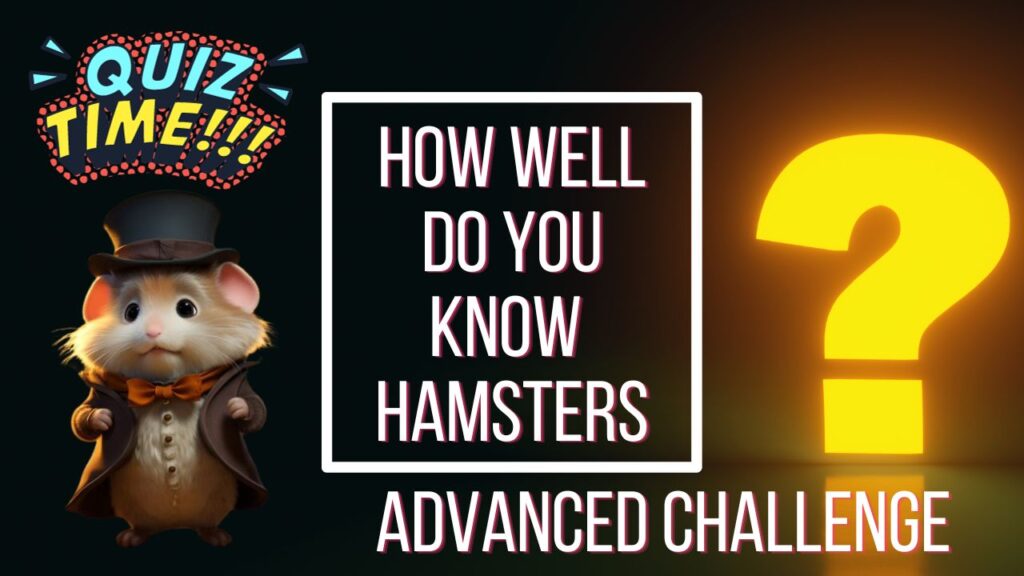 How Well Do You Know Hamsters Advanced Challenge