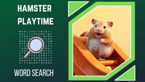 Get Your Paws Ready Uncover the Secrets of Hamster Playtime!