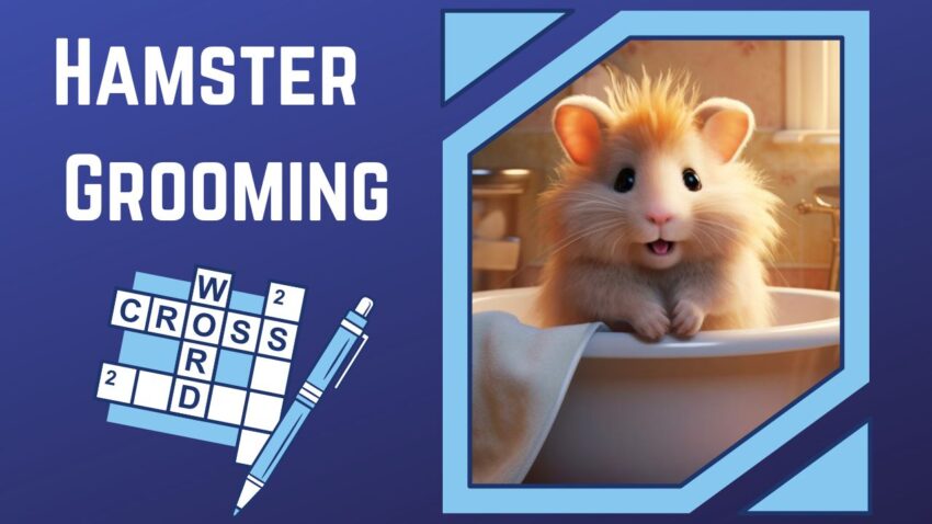 Groom & Zoom Master the Hamster Grooming Game in Our Whisker-Tickling Crossword Puzzle!