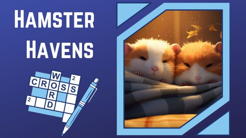 Hamster Havens A Global Puzzle Adventure!