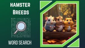 Hamster Huddle Unravel the Furry Mysteries in Our Hamster Breeds Extravaganza WordSearch!