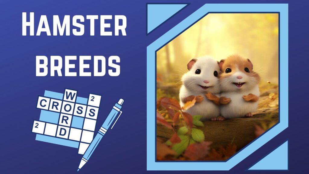 Whisker Wonders Unravel the Hamster Breeds Crosswords Puzzle!