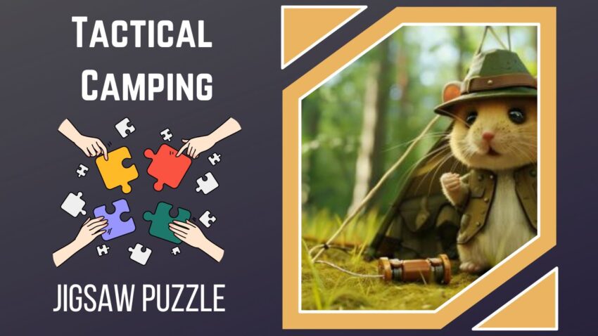 Conquer the Great Indoors Unravel the Mystery of the Tactical Camping Hamster!