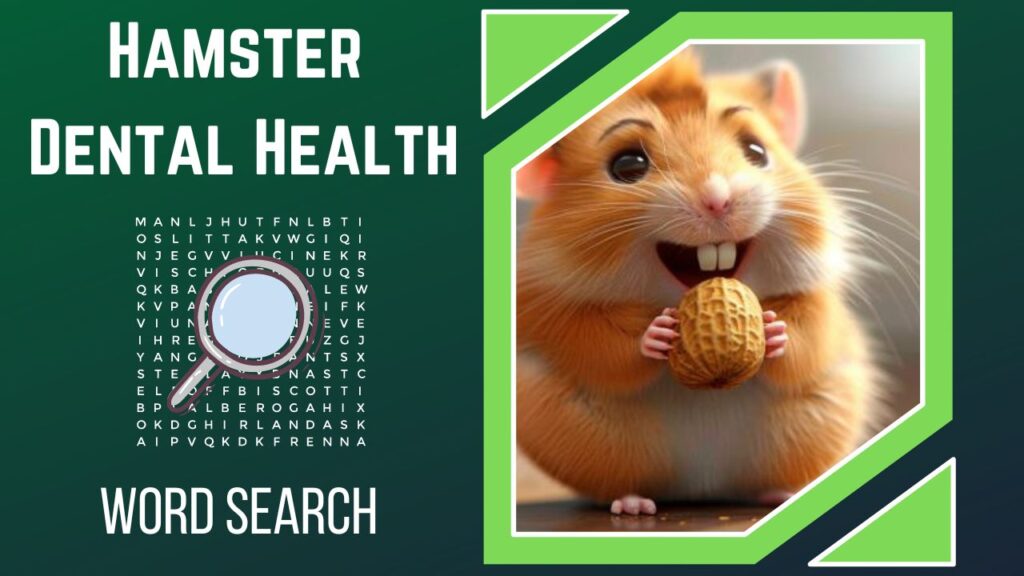 Chew on This! A Delightful Dive into Hamster Dental Health with Our Interactive WordSearch Puzzle