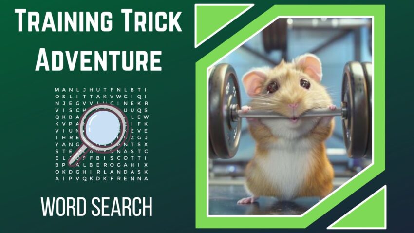 Hamster Hijinks Embark on a Training Trick Adventure with Your Furry Friend!