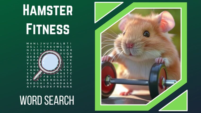 Roll, Spin, and Scramble Uncover the Dynamic World of Hamster Fitness!