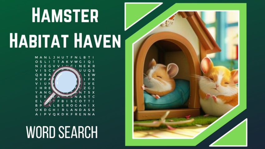Nest Quest Unravel the Threads of Hamster Habitat Haven!