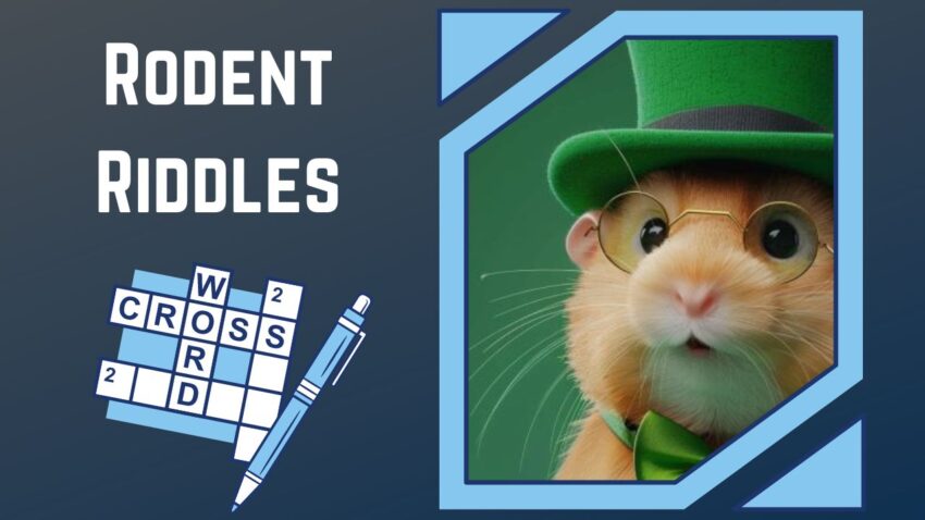 Rodent Riddles Unleash Your Inner Hamster Expert with Our Crossword Puzzle!